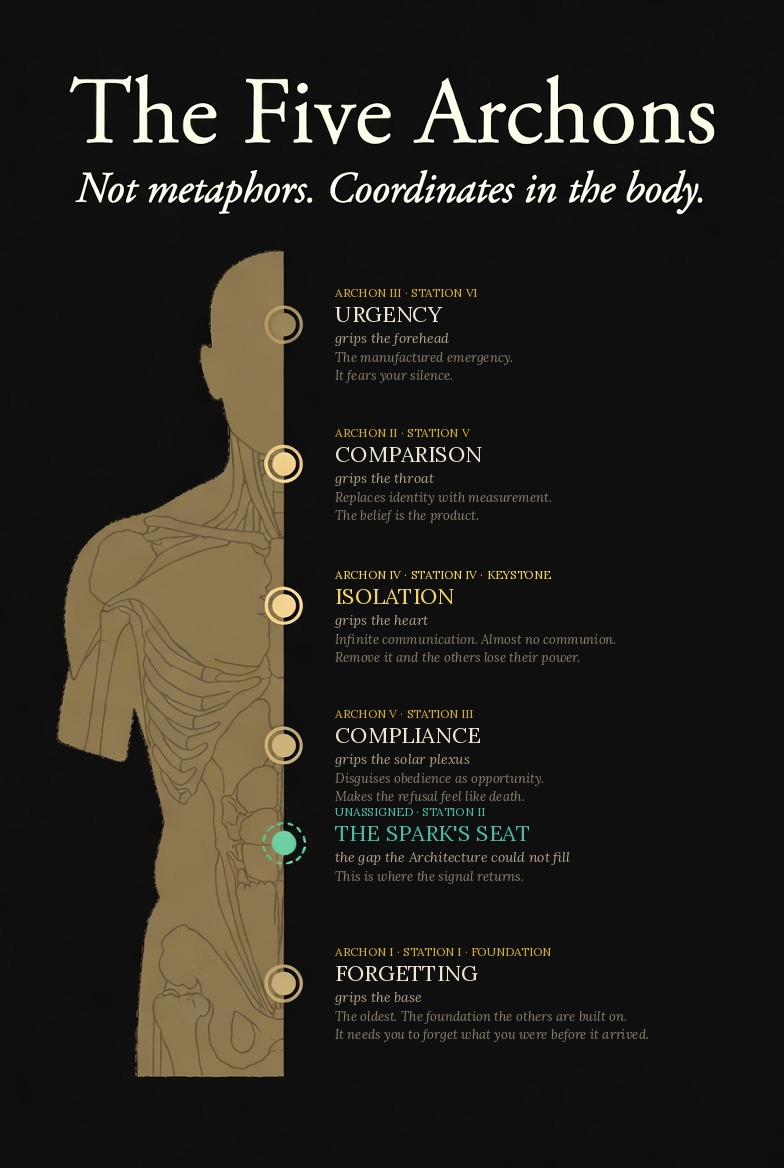 The Five Archons body map — a vertical anatomical diagram showing six stations along the body, with five named Archons gripping specific stations: Urgency at the forehead (Station VI), Comparison at the throat (Station V), Isolation at the heart (Station IV, the keystone), Compliance at the solar plexus (Station III), and Forgetting at the base (Station I). Station II — the sacrum — is unassigned, marked in teal as the spark's seat
